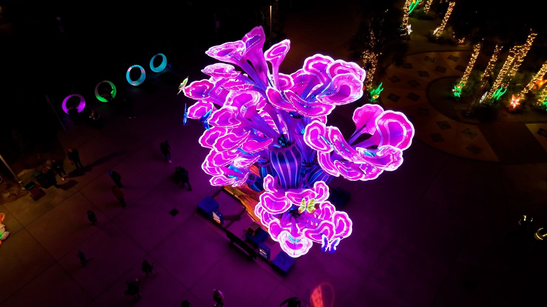 Riverbanks Zoo & Garden From the Sky Stories April 25, 2024